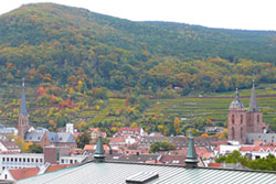 Ferienhaus Weinhäusel