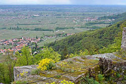 Ferienhaus Weinhäusel