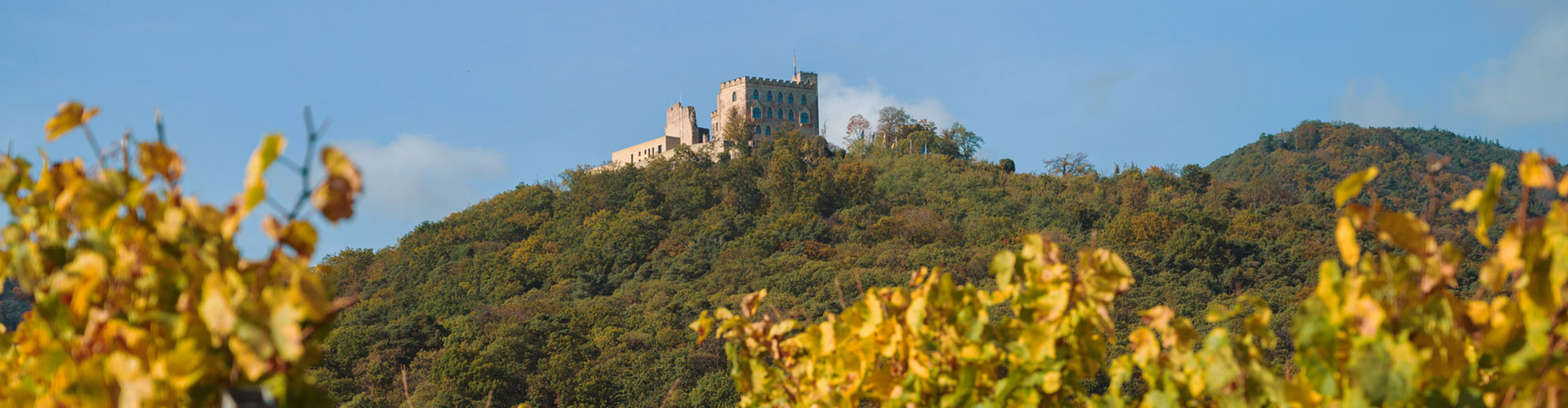 Ferienhaus Weinhäusel - Das Weinhäusel - Susanne Klauke - Insider tips cycle paths Ferienhaus Weinhäusel - Das Weinhäusel - Susanne Klauke - Insider tips cycle paths