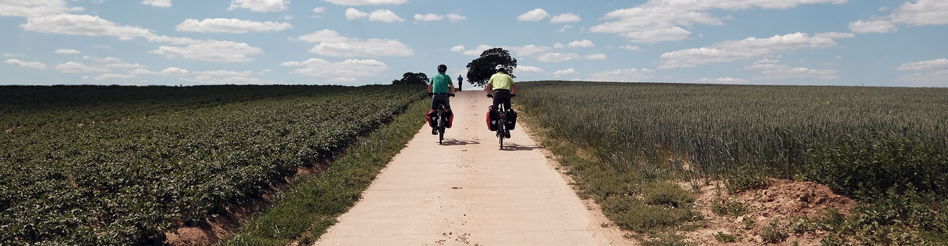 Ferienhaus Weinhäusel - Das Weinhäusel - Susanne Klauke - Kraut und Rüben Cycle path Ferienhaus Weinhäusel - Das Weinhäusel - Susanne Klauke - Kraut und Rüben Cycle path